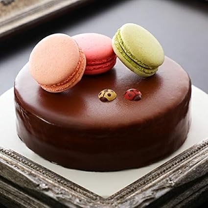 お菓子やフランソワ ふんわりザッハトルテ