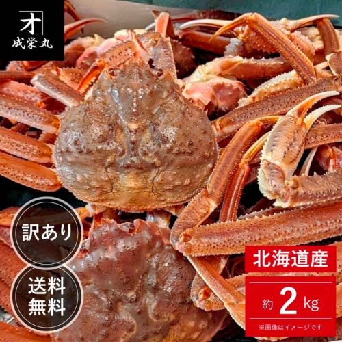 たいこばん 北海道産 訳あり生オオズワイガニ 約2kg