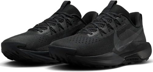 ナイキ(NIKE) ペガサス トレイル 5 DV3864