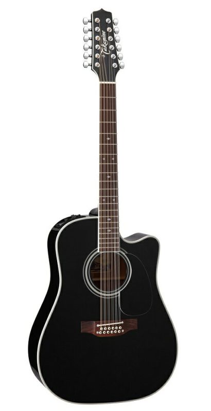 タカミネ(Takamine) ワールド・スタンダード EF381SC