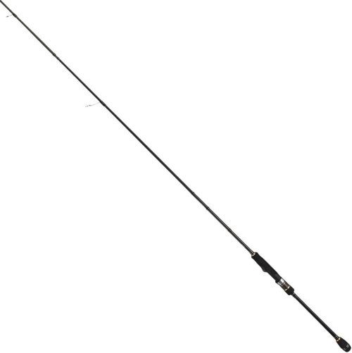 テイルウォーク(tailwalk) エギスト SSD 81M