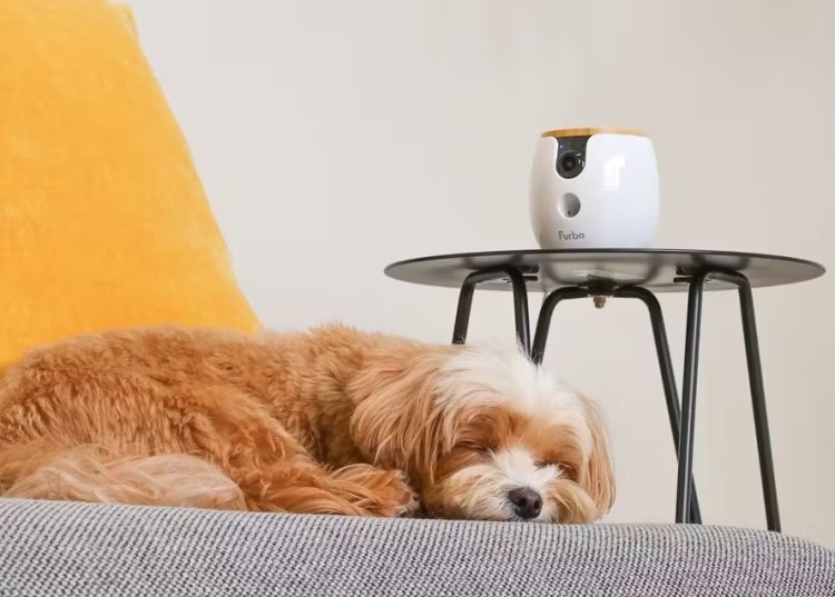 カジノ バカラ 種類用品のイメージ