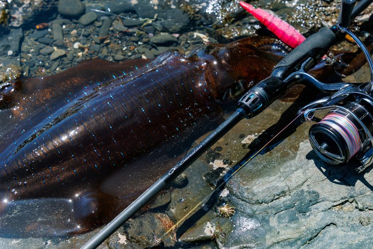 ロッドのイメージ