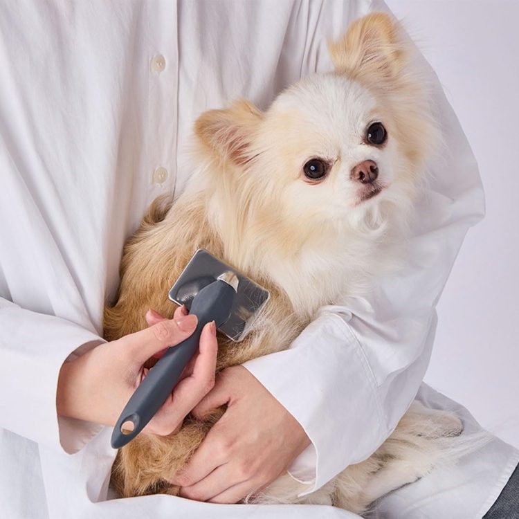 犬用品のイメージ