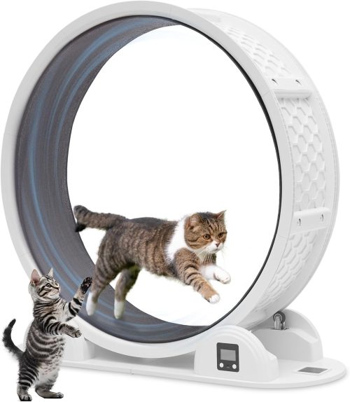 HOVONO 万歩計付きキャットホイール