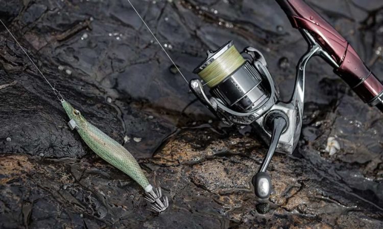 2026年最新版】エギのおすすめ42選。選び方についても詳しく解説