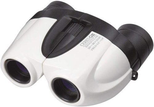 ケンコー・トキナー(Kenko・Tokina) セレス-GIII 10-30×21