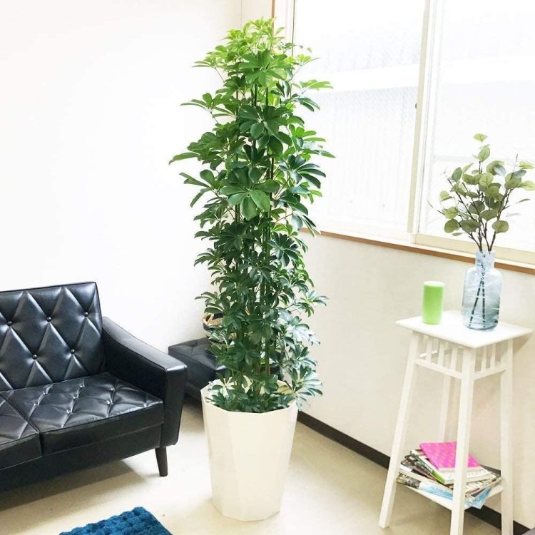 カジノバカラ入れないのイメージ