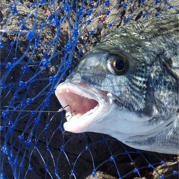 釣りのイメージ