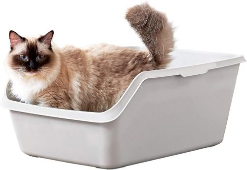 オーエフティー(OFT) HY cat ジャンボ