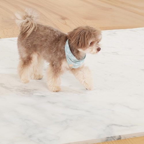 ハルペット(HaruPet) 抗菌・防水クッションマット