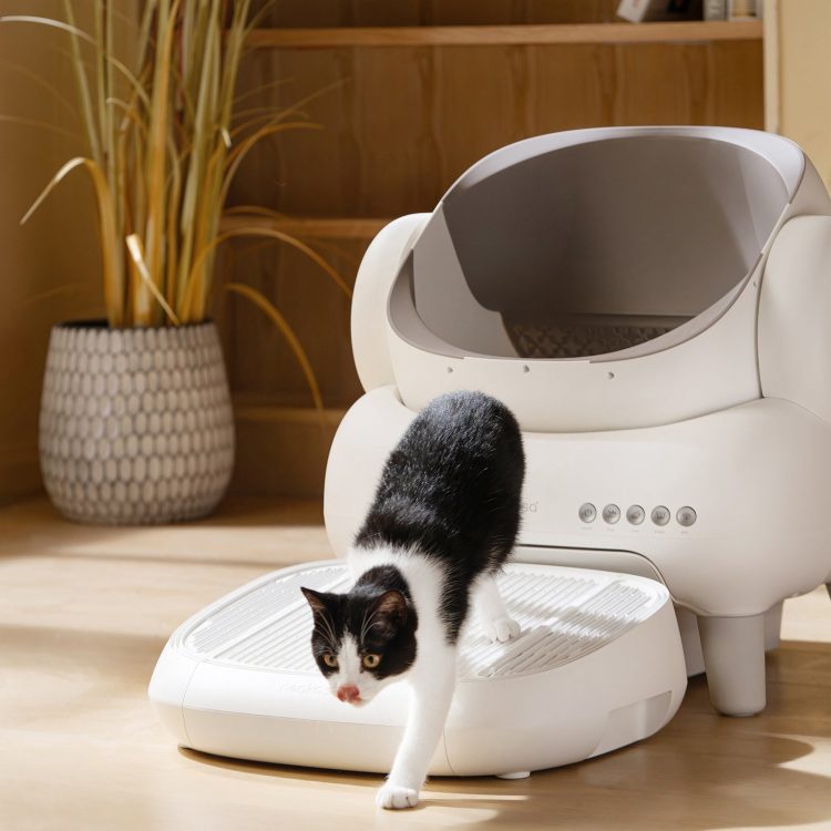 猫用品のイメージ