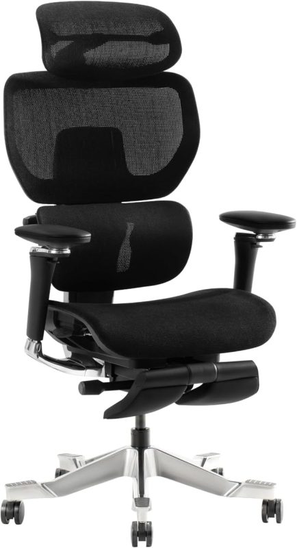 FLEXISPOT オフィスチェア C7 Morpher