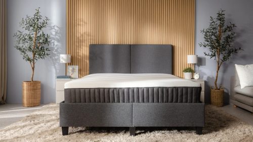 カジノ バカラ攻略法スリープ(Emma Sleep) カジノ バカラ攻略法プレミアム  V2n