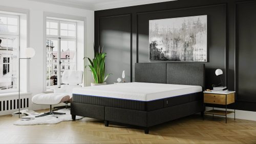 カジノ バカラ攻略法スリープ(Emma Sleep) カジノ バカラ攻略法プレミアム  V2n プラス