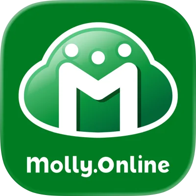 モーリーオンライン