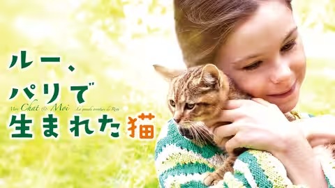ルー、パリで生まれた猫