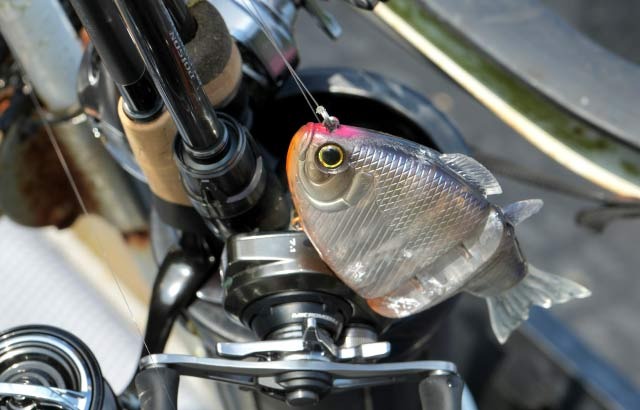 釣りのイメージ