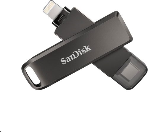 サンディスク(SanDisk) SDIX70N-256G-GN6NE Lightnig Flash