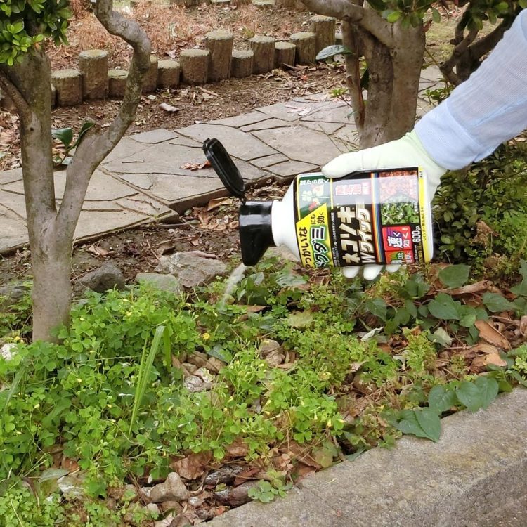 ガーデニングのイメージ