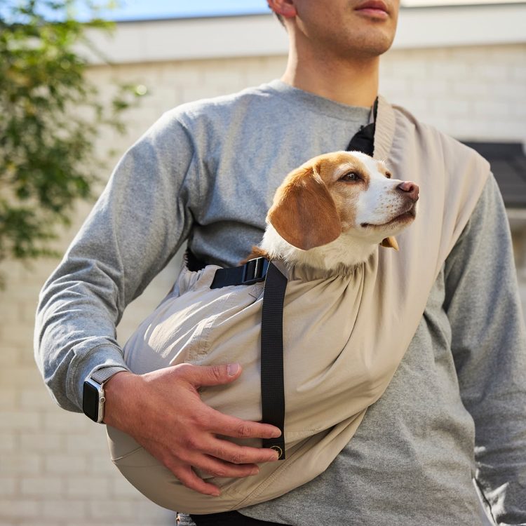 カジノ バカラ 英語品のイメージ