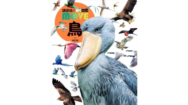 参考書・学術書のイメージ