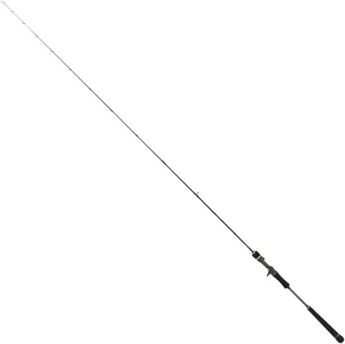 テイルウォーク(tailwalk) タイゲーム SSD C69UL/FSL