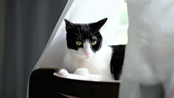 触れずに見守るヘルスケア！huuuge カジノ バカラhuuuge カジノ バカラを守る非接触デバイス「huuuge カジノ バカラ」