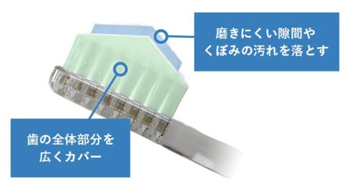 長短2段の植毛が汚れにしっかりアプローチ