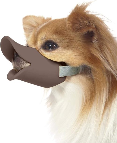 オッポ (OPPO) クァック