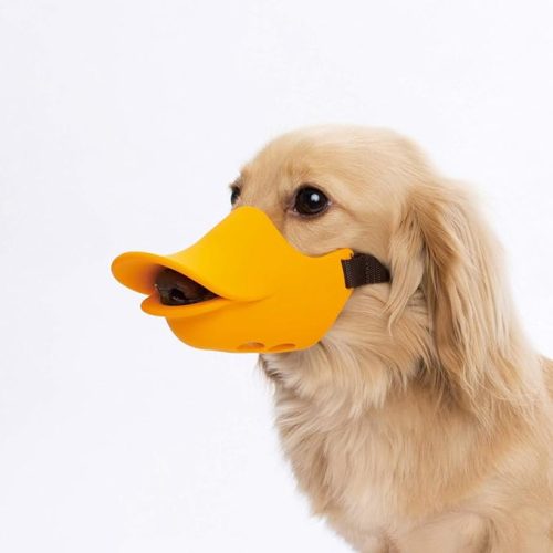 オッポ (OPPO) クァック クローズド