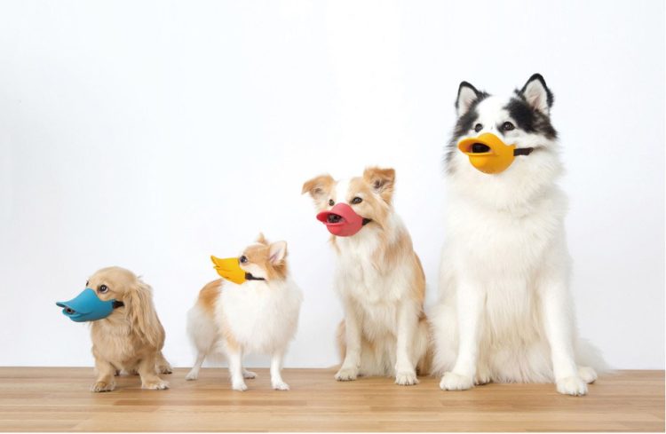 カジノ バカラ 通販品のイメージ