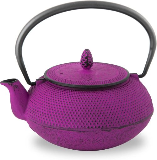 ロジアソシエイツ(Roji) 南部鉄器 急須 アラレ 0.6L