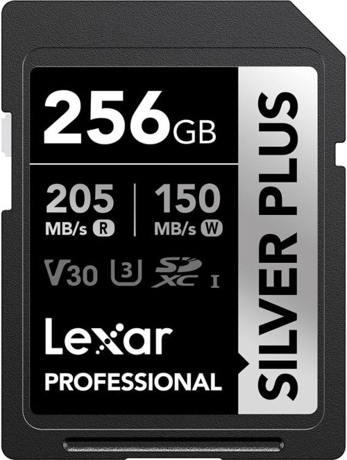 Lexar Professional SILVER PLUS 256GB LSDSIPL256G-BNNNU