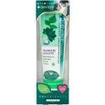 デンティス(DENTISTE') エチケット ペースト ハミガキ粉