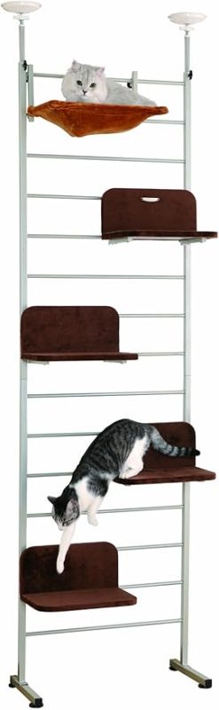 ボンビアルコン(Bonbi) キャットウォーク