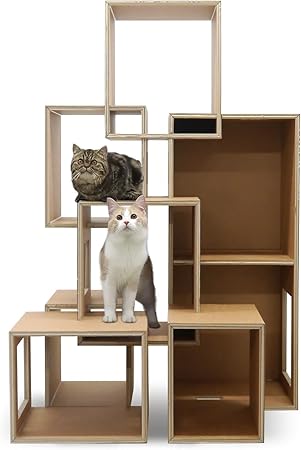 マウ(Mau) ラージセブンルームズ