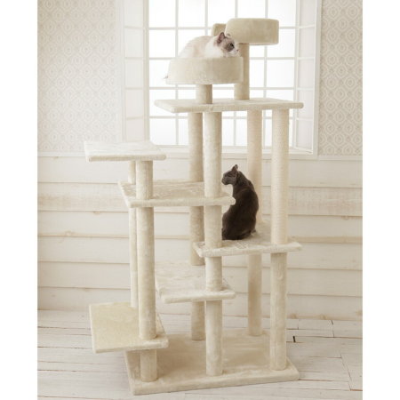 猫用品のイメージ