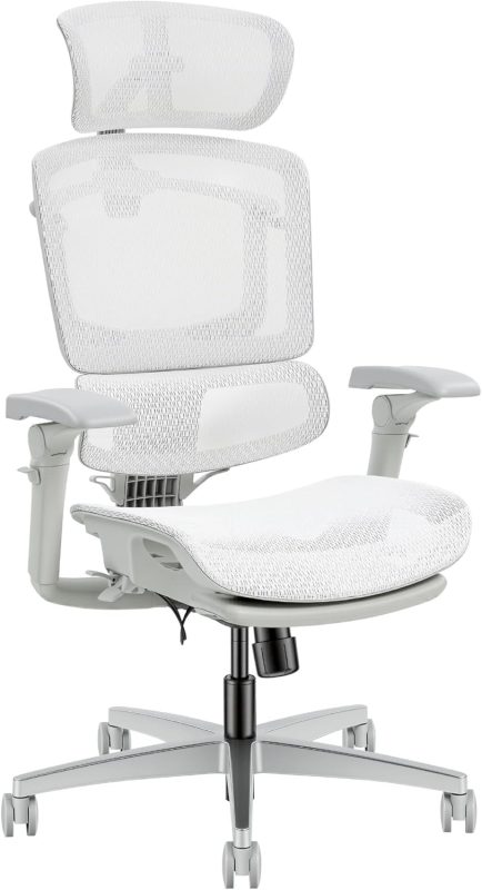 FLEXISPOT オフィスチェア C7 Pro2