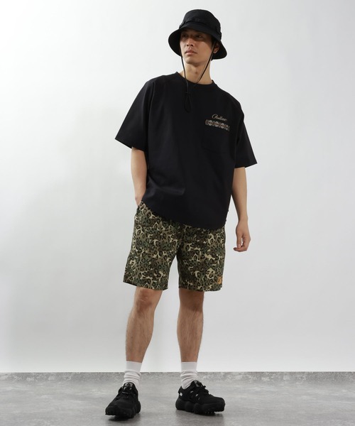 べっと額10円からのカジノ バカラートパンツのイメージ