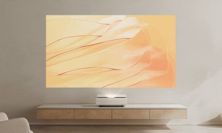 大小 カジノ バカラジェクターのイメージ