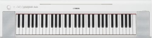 ヤマハ(YAMAHA) Piaggero NP-15