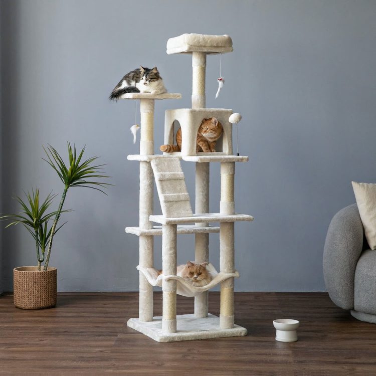 猫用品のイメージ