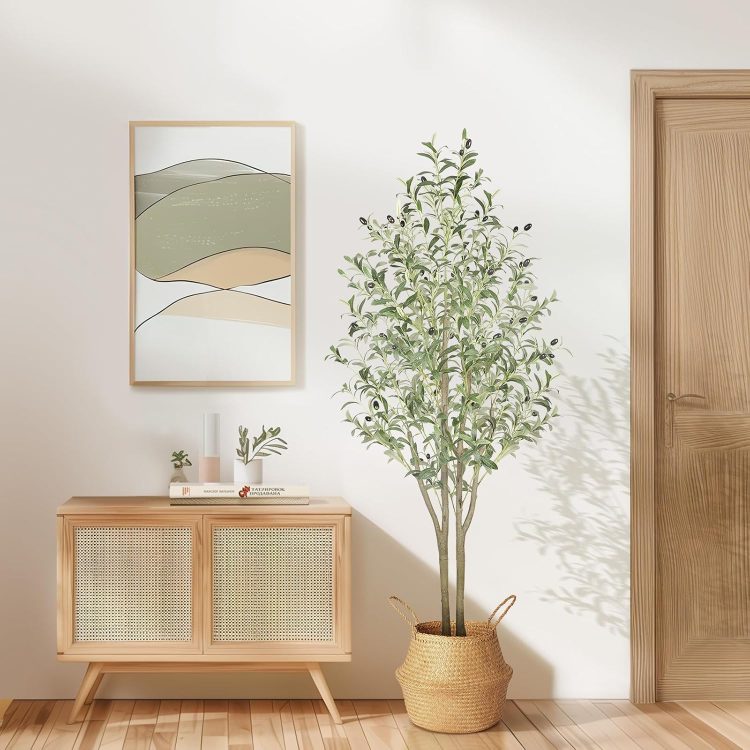 観葉植物のイメージ