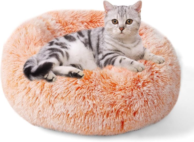 猫用品のイメージ