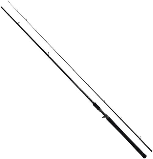 ヤマガブランクス(YAMAGA Blanks) EARLY for Surf 105MMH/B