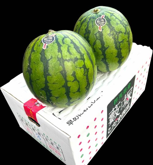 ふるさと再生市場 薮塚の小玉すいか