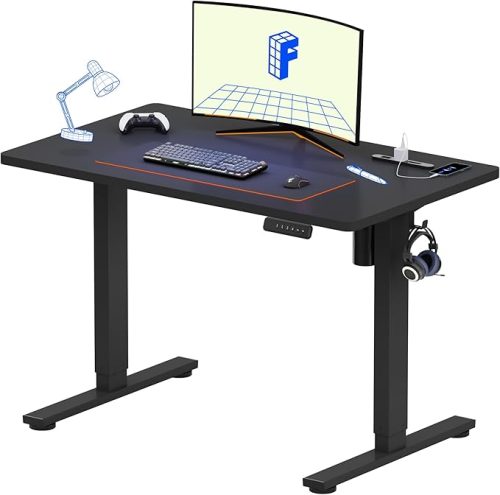 フレキシスポット(FLEXISPOT) 電動昇降式デスク EF1 Pro