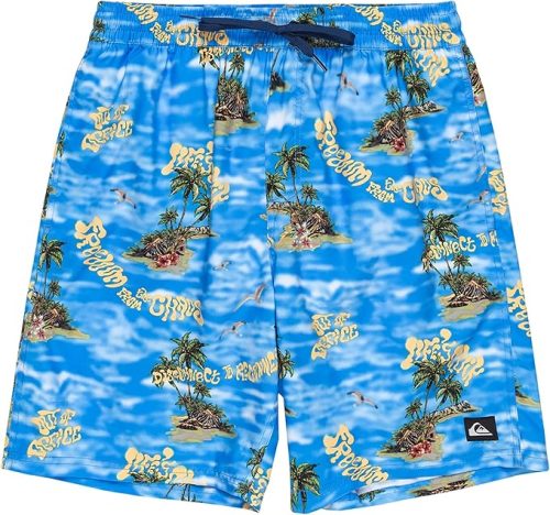 クイックシルバー(Quiksilver) ボードショーツEVERYDAY STRAIGHT VL 19