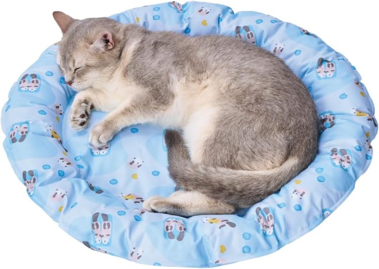 猫用品のイメージ